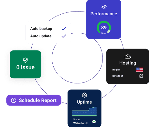 Widgets graphic showing performance, hosting, uptime and reports