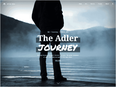 Theme preview for adler