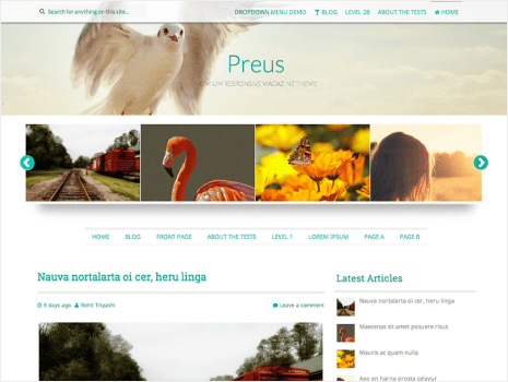 Theme preview for preus