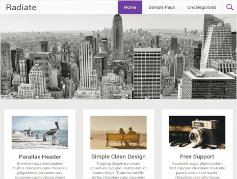 Theme preview for radiate