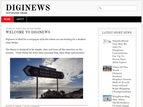 Theme preview for diginews