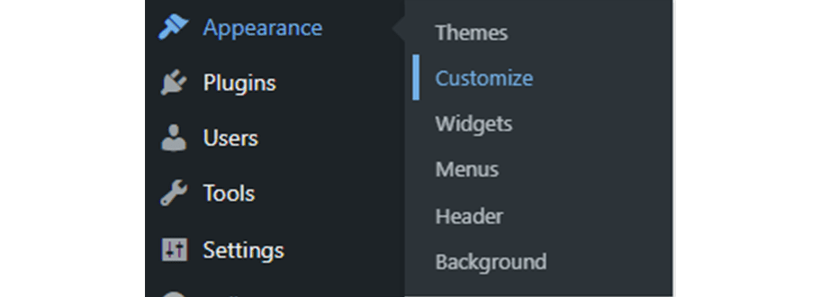 Customizer menu item